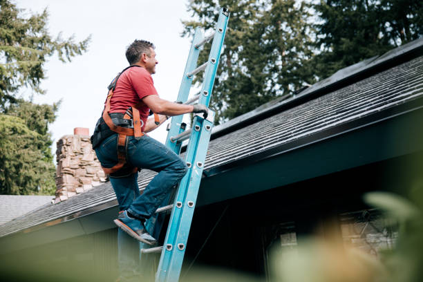 Best Asphalt Shingle Roofing  in Wilsons Mills, NC